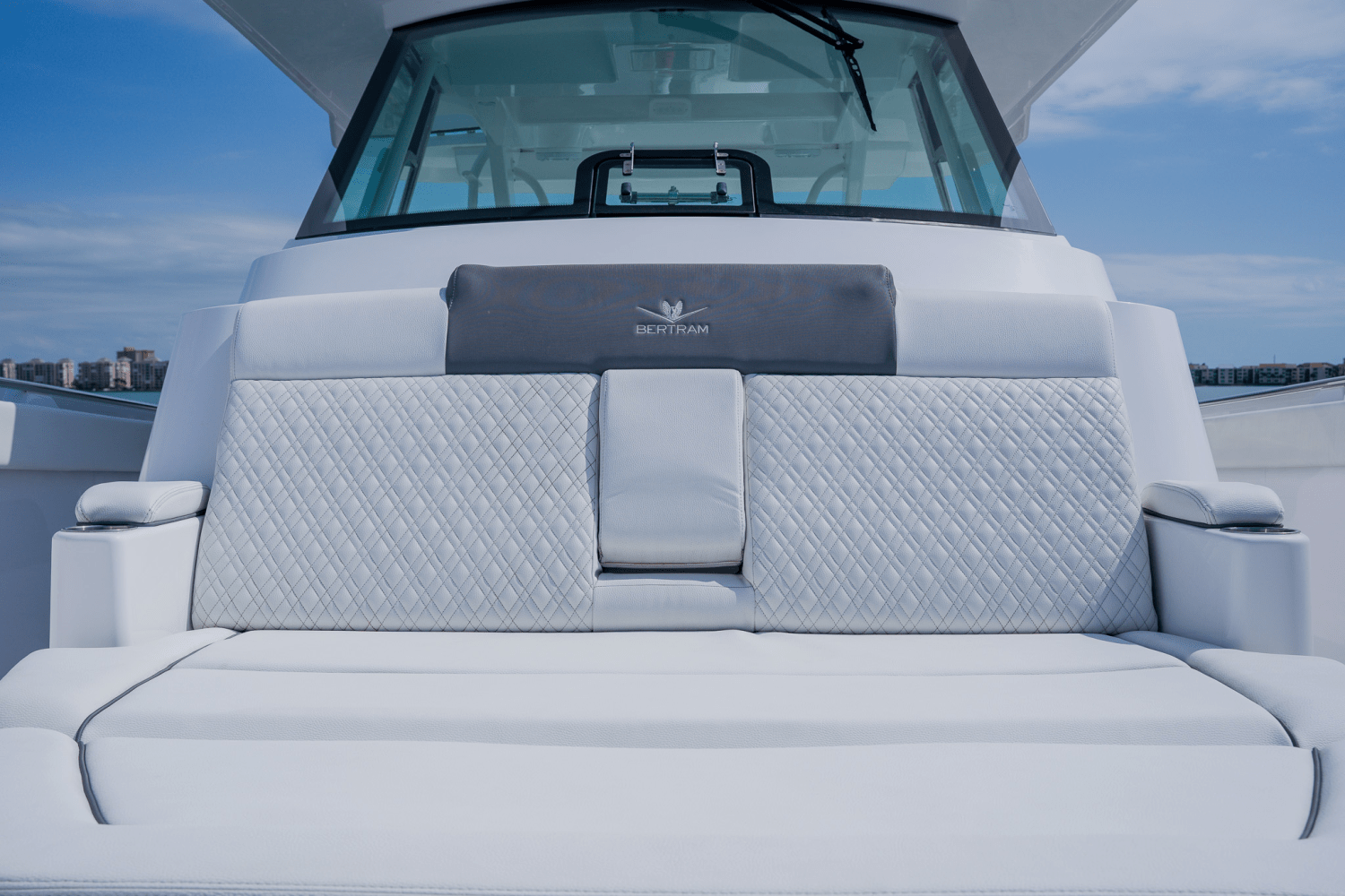 Slide: The Image of Bertram 39CC 2023 - 59