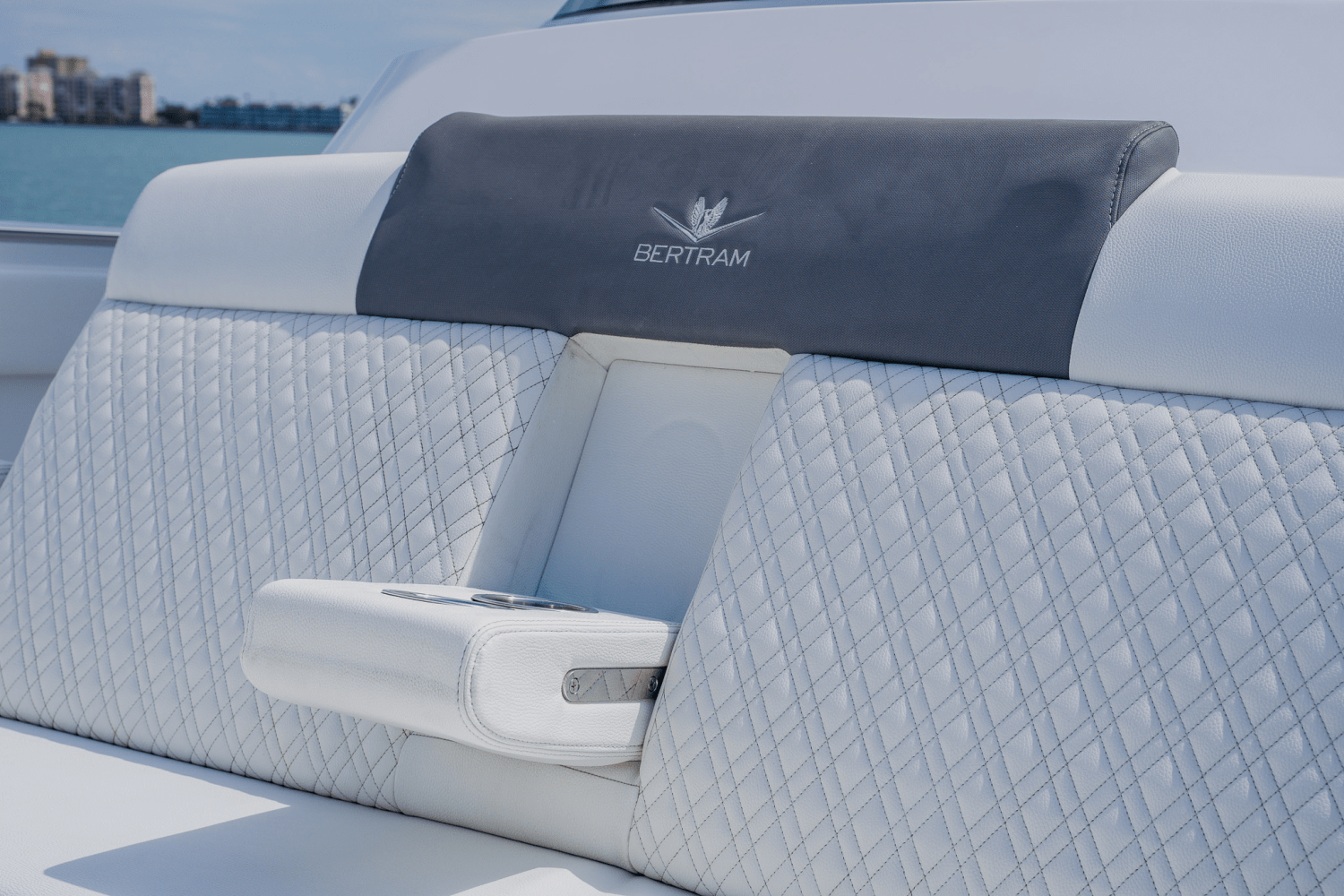 Slide: The Image of Bertram 39CC 2023 - 60