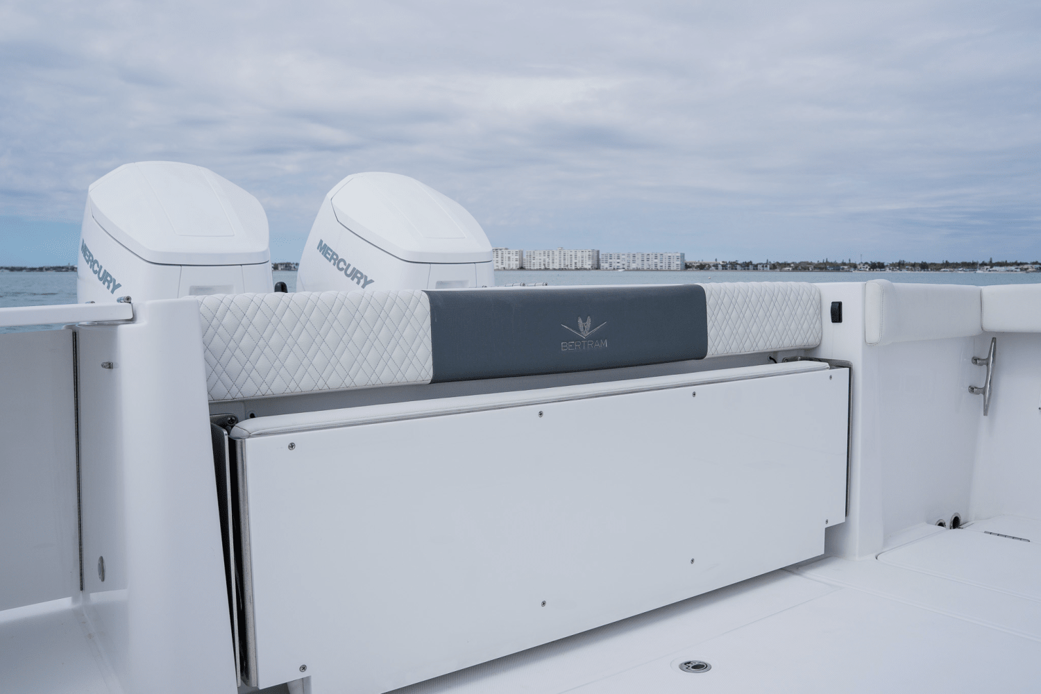 Slide: The Image of Bertram 39CC 2023 - 79