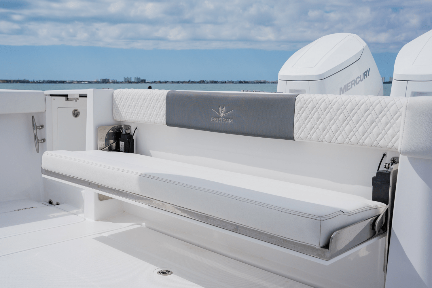 Slide: The Image of Bertram 39CC 2023 - 90