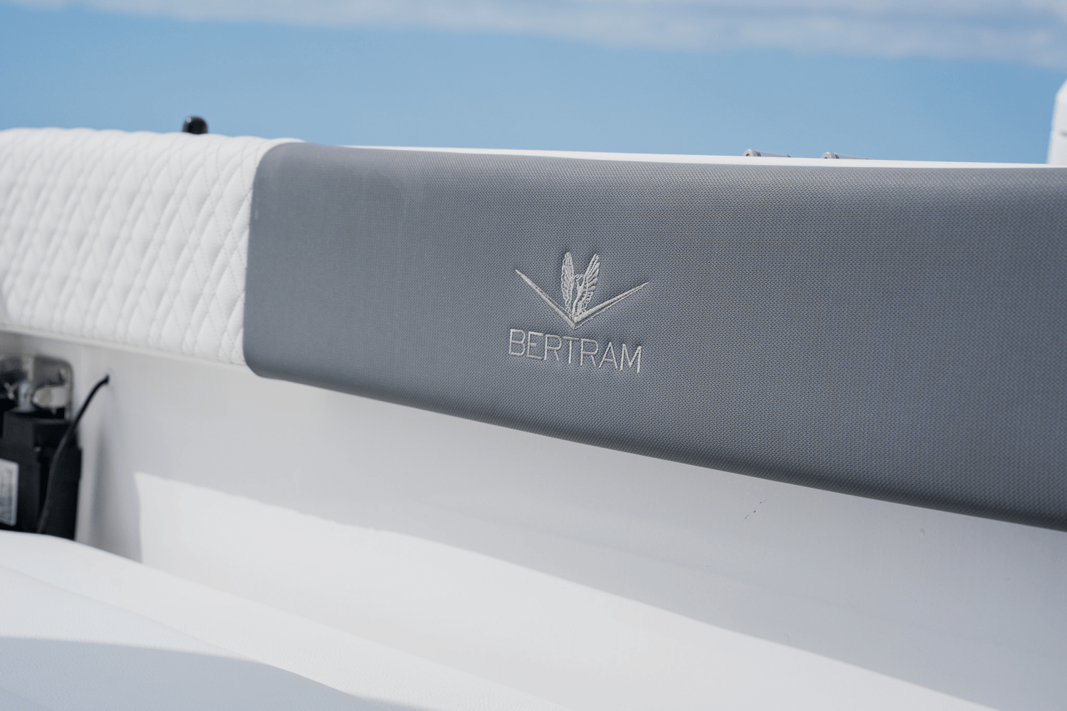 Slide: The Image of Bertram 39CC 2023 - 91