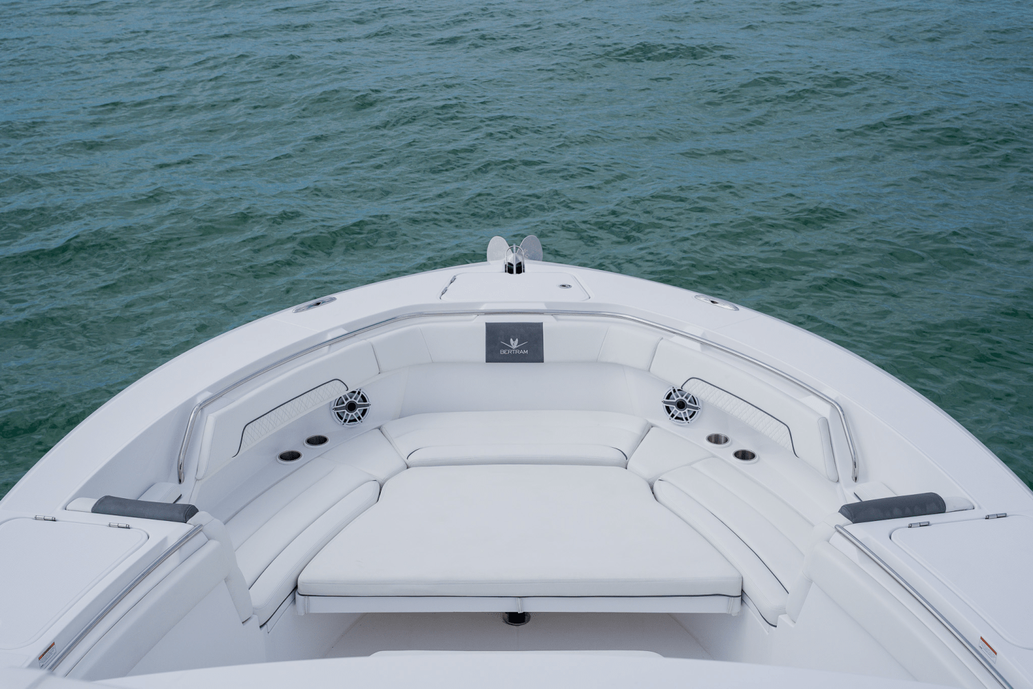 Slide: The Image of Bertram 39CC 2023 - 98