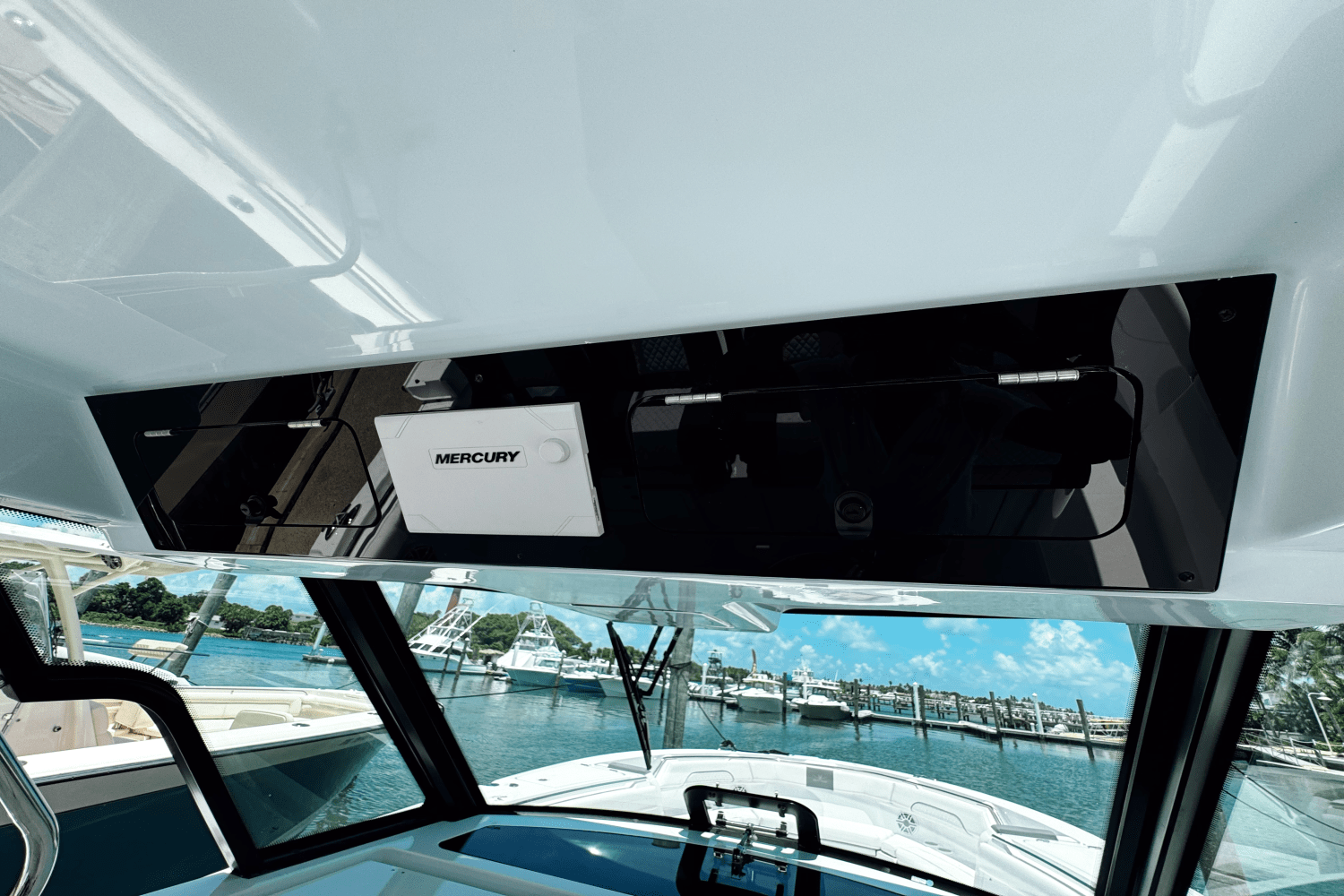 Slide: The Image of Bertram 39CC 2024 - 16