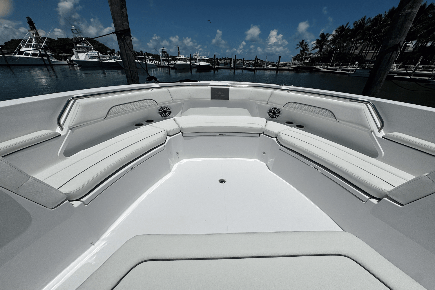 Slide: The Image of Bertram 39CC 2024 - 27