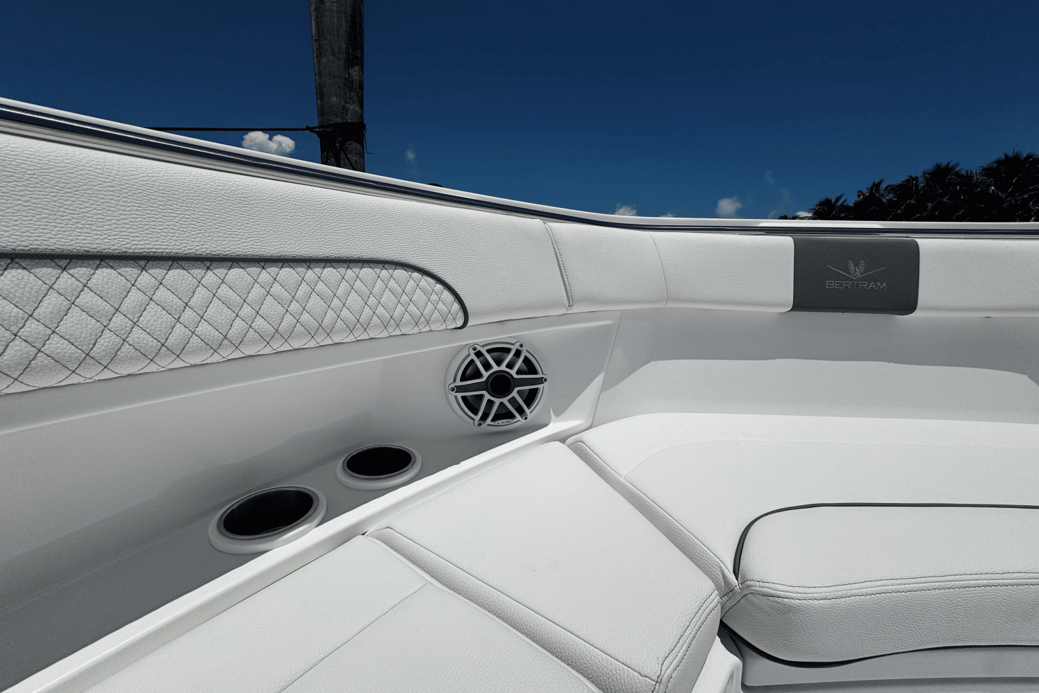 Slide: The Image of Bertram 39CC 2024 - 28