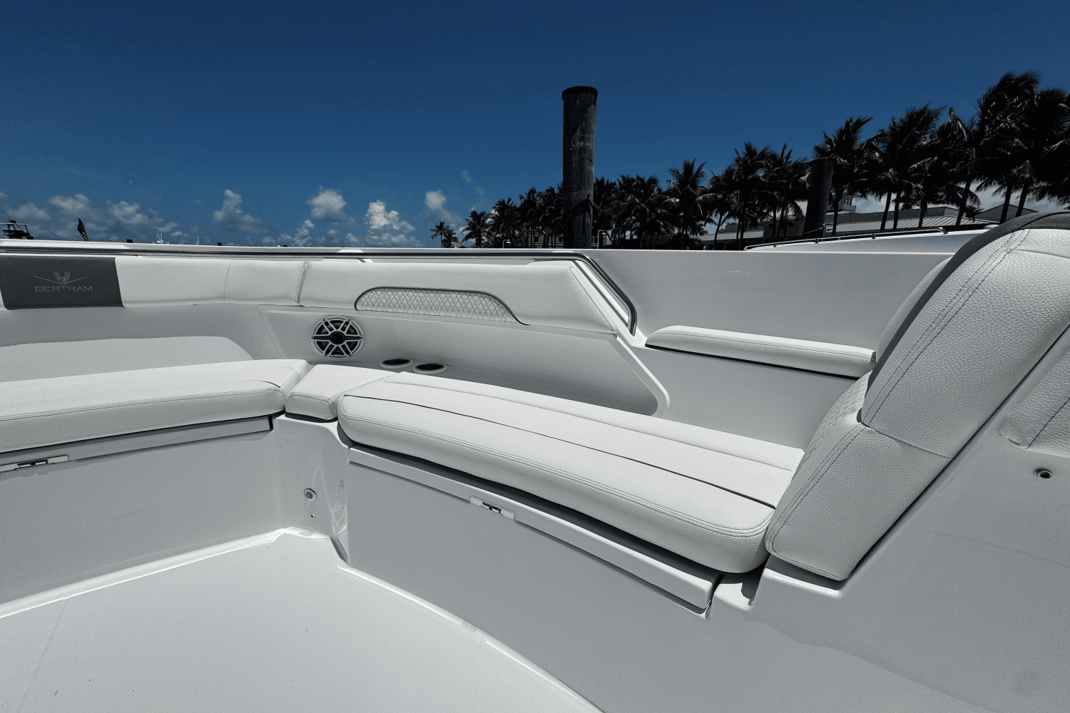 Slide: The Image of Bertram 39CC 2024 - 29