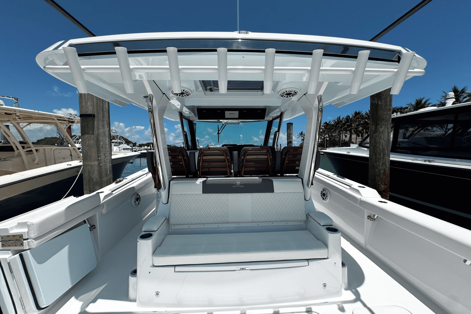 Slide: The Image of Bertram 39CC 2024 - 3