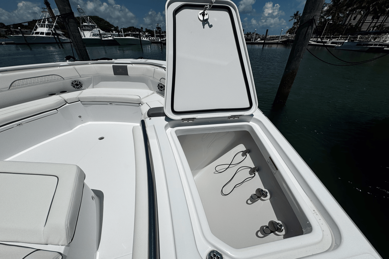 Slide: The Image of Bertram 39CC 2024 - 32