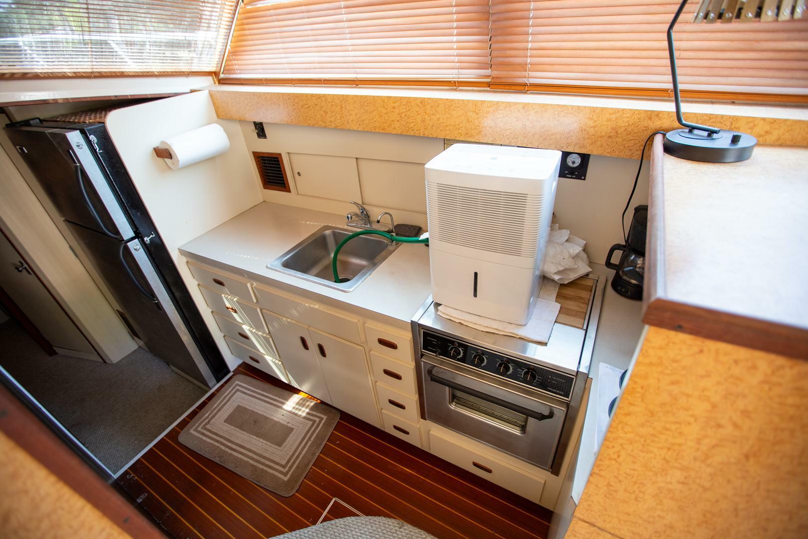 Slide: The Image of Bertram 46 1978 - 5164806