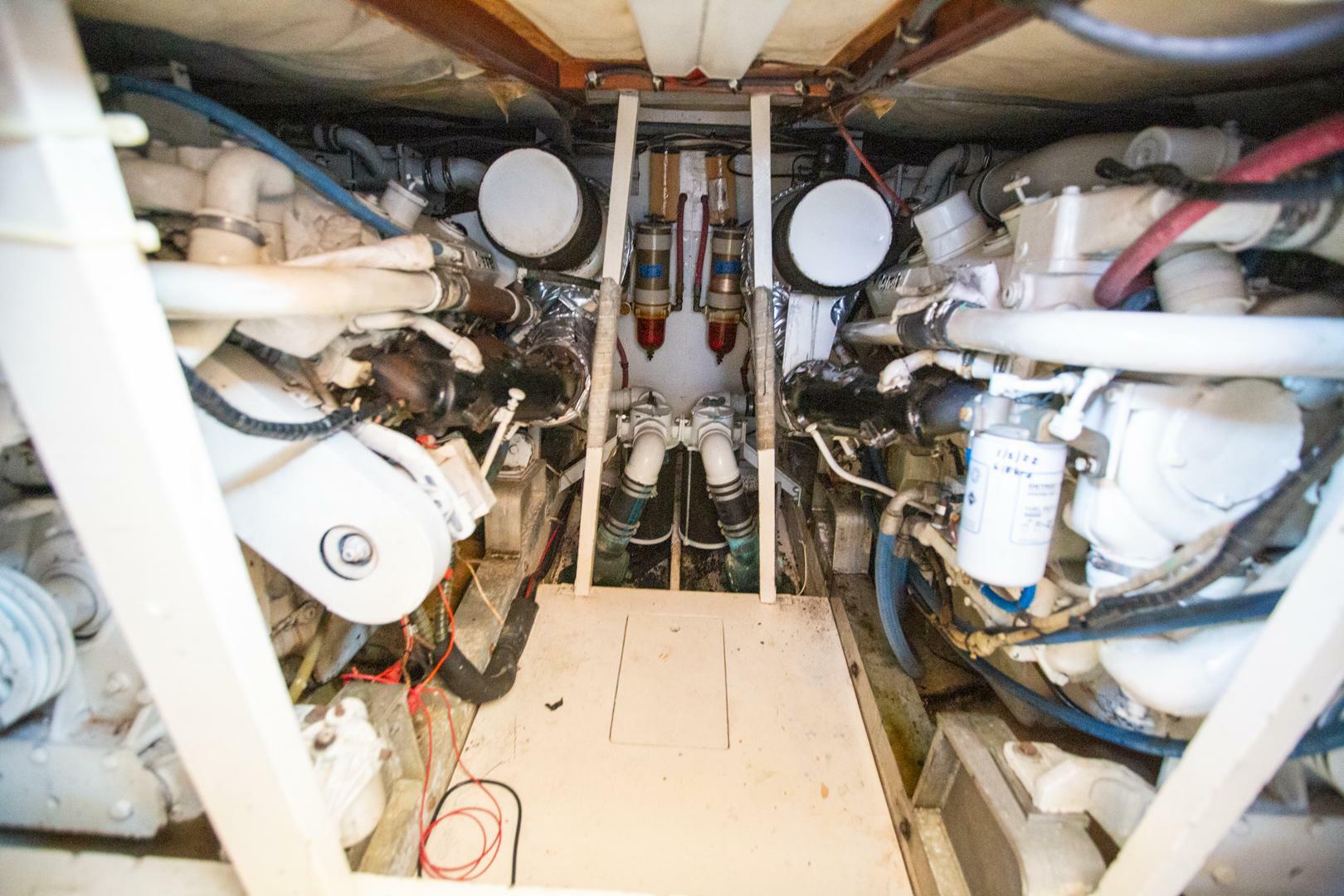 Slide: The Image of Bertram 46 1978 - 5164815