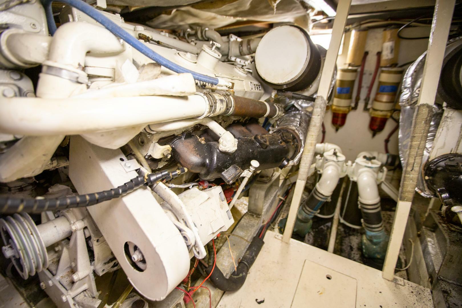 Slide: The Image of Bertram 46 1978 - 5164817