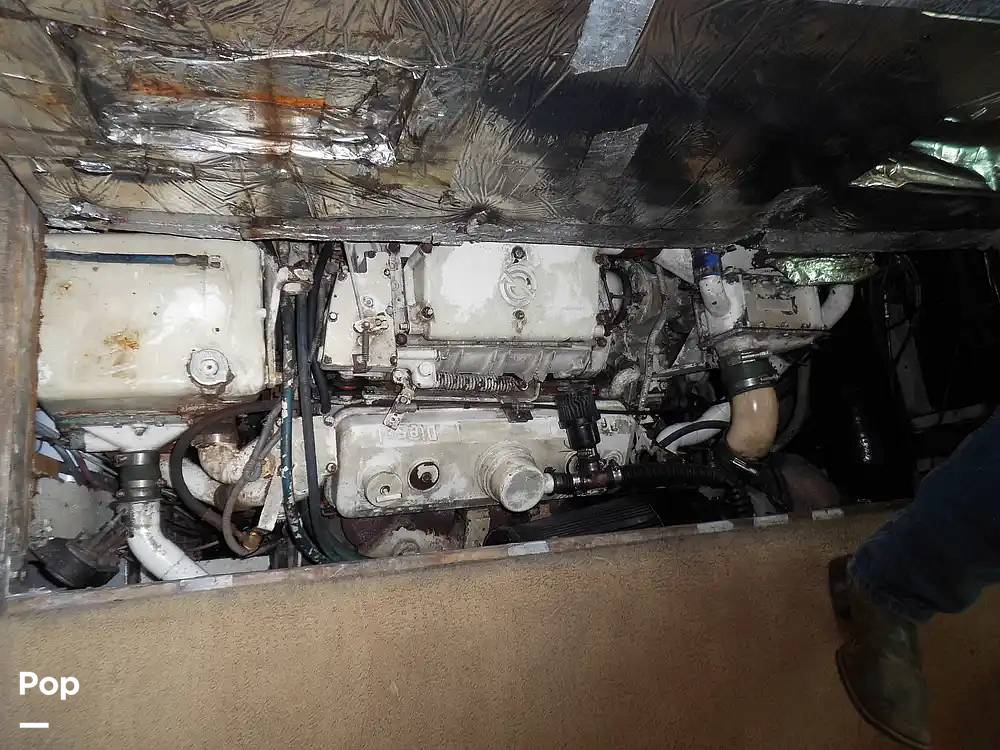 Slide: The Image of Bertram 46 SF 1986 - 15370932