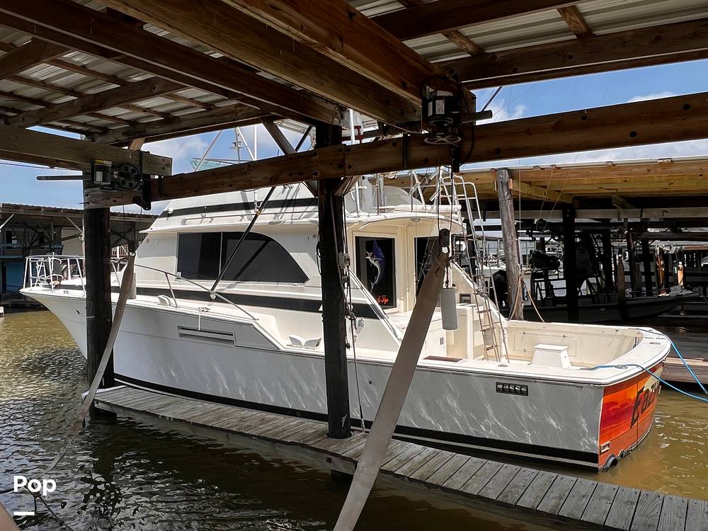 Slide: The Image of Bertram 46 SF 1986 - 15466283