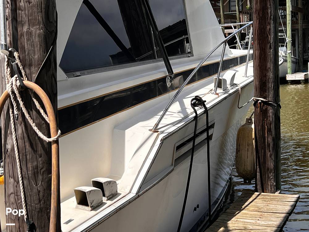 Slide: The Image of Bertram 46 SF 1986 - 15466291