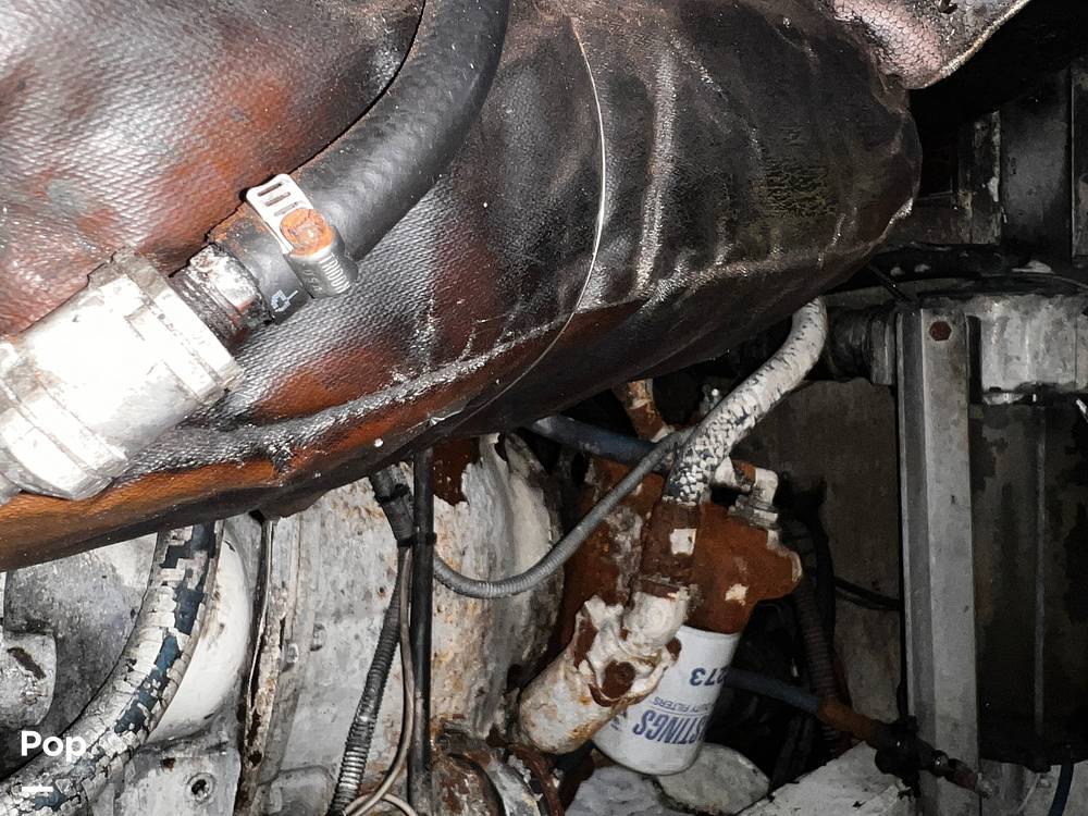 Slide: The Image of Bertram 46 SF 1986 - 15466512