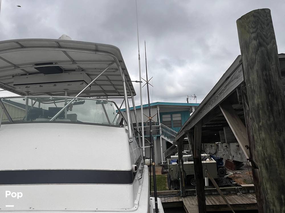 Slide: The Image of Bertram 46 SF 1986 - 15466552