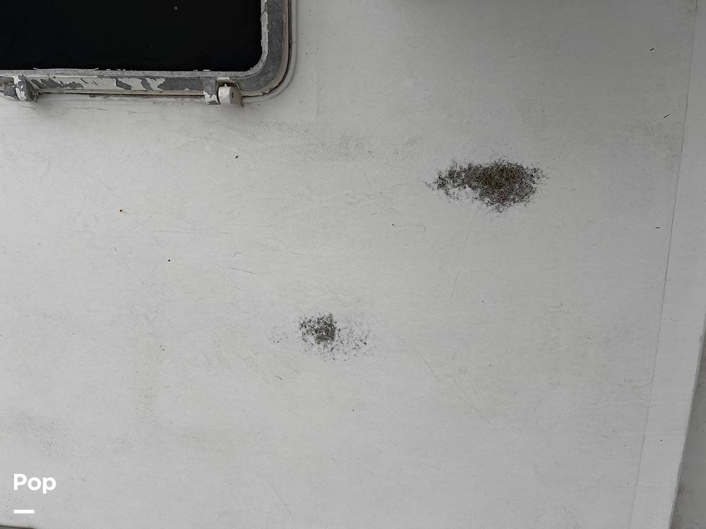 Slide: The Image of Bertram 46 SF 1986 - 15466556