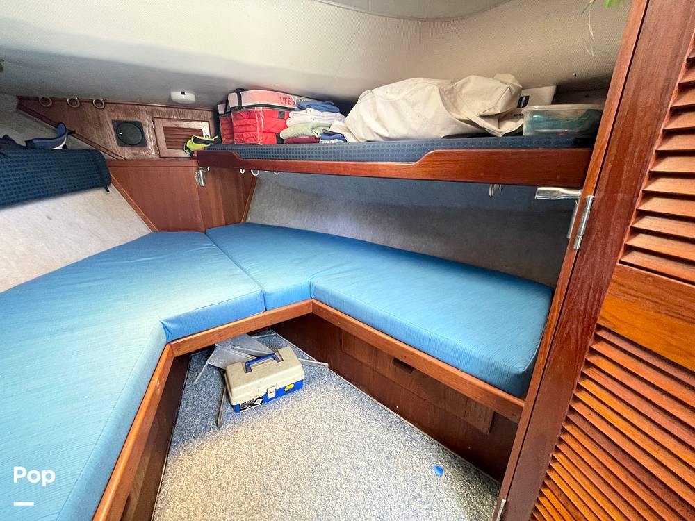 Slide: The Image of Bunk - 14409936