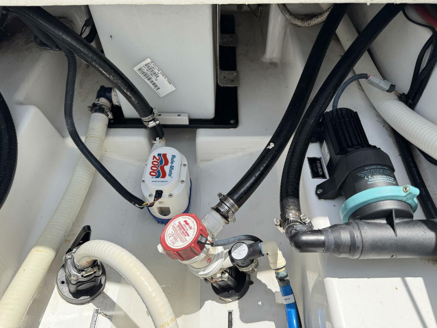 Slide: The Image of Blackfin 252 CC 2021 - 5474602