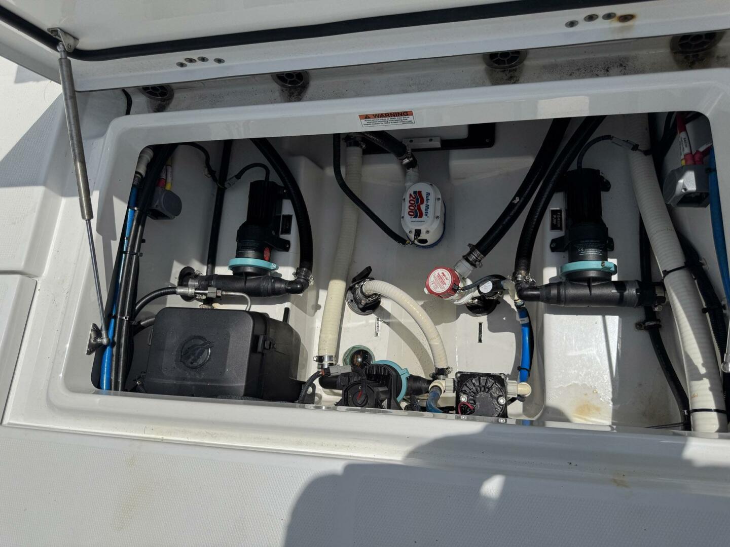 Slide: The Image of Blackfin 252 CC 2021 - 5474603