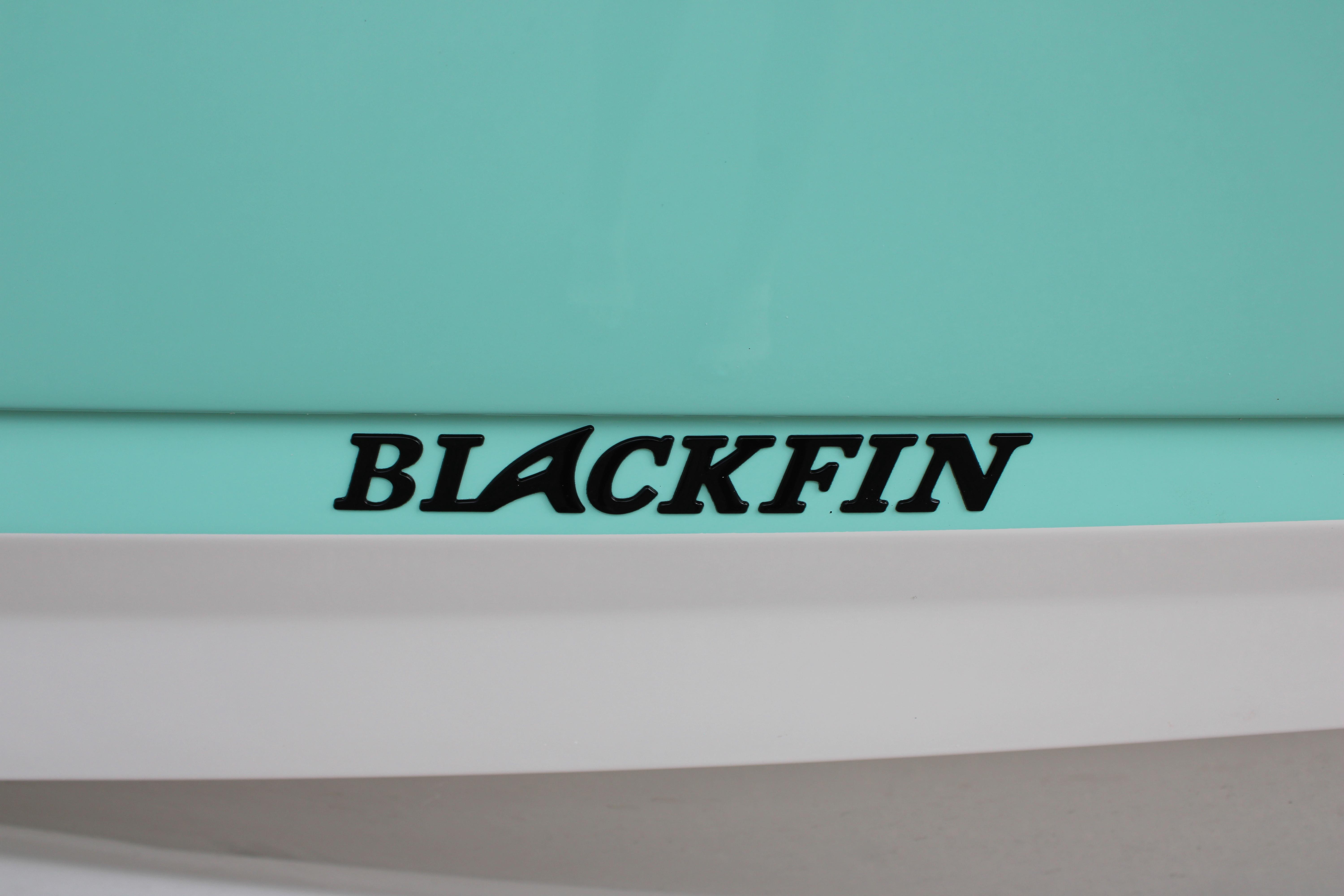 Slide: The Image of 2023 Blackfin 252 DC boat logo on light blue and white background - 6