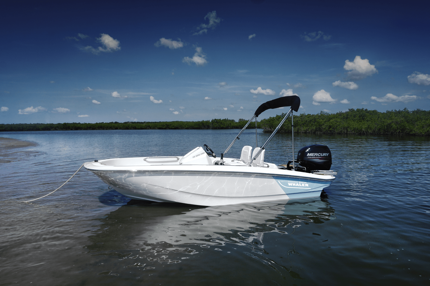 Slide: The Image of Boston Whaler 130 Super Sport 2025 - 27