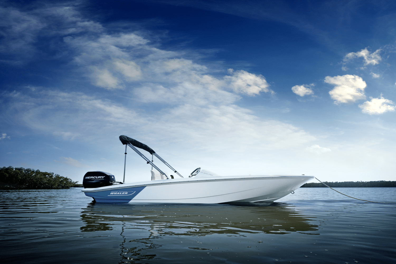 Slide: The Image of Boston Whaler 130 Super Sport 2025 - 32