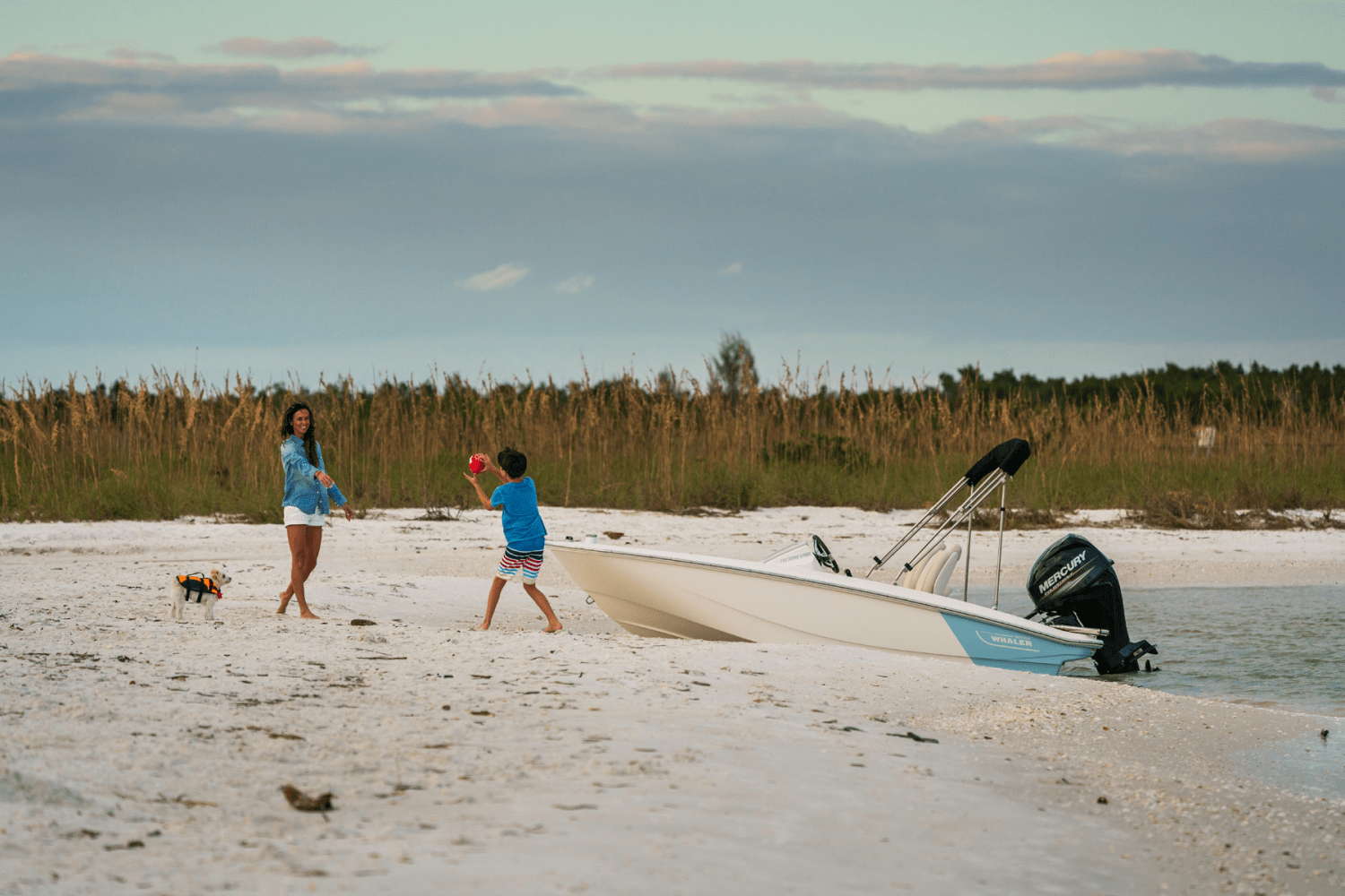 Slide: The Image of Boston Whaler 130 Super Sport 2025 - 39
