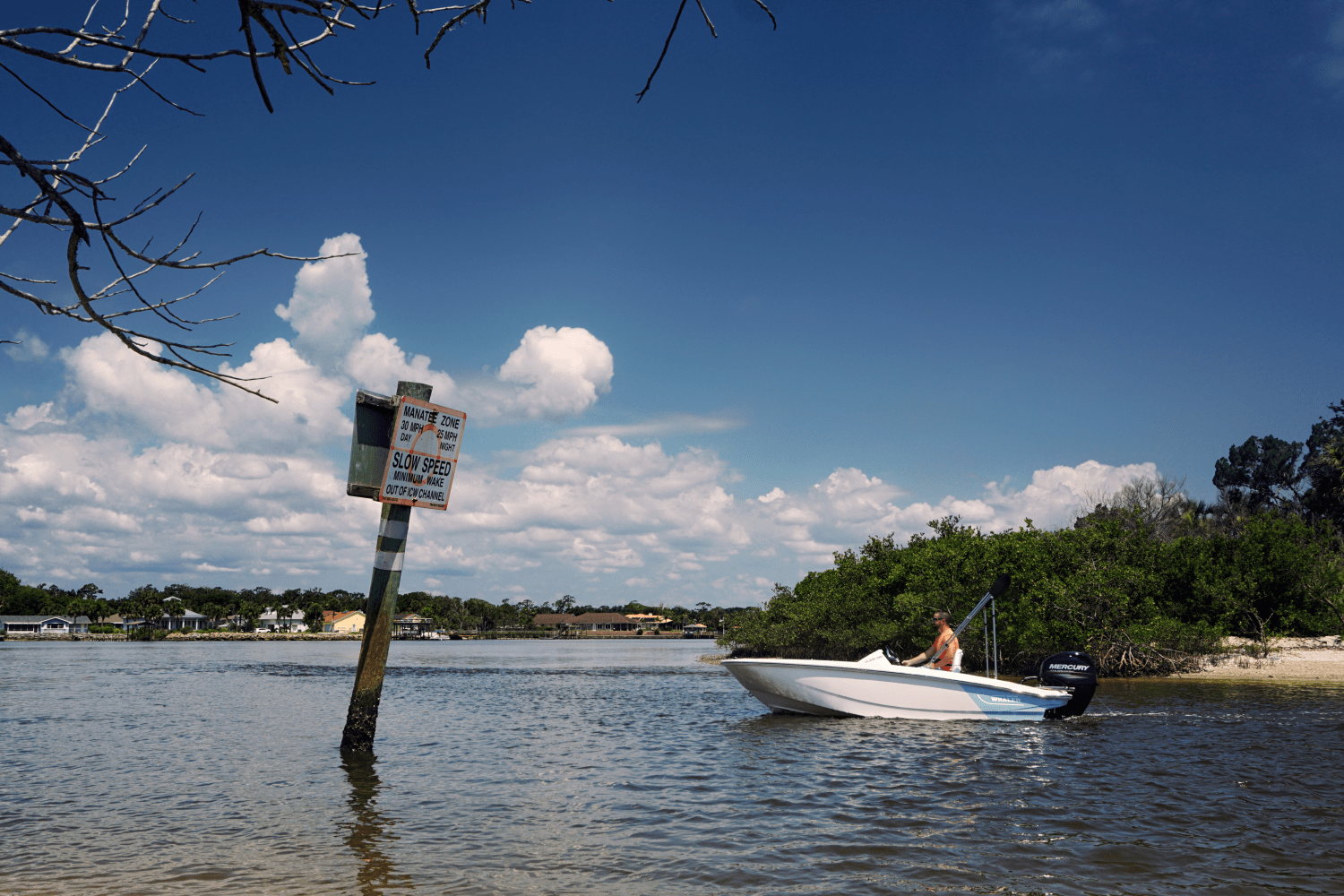 Slide: The Image of Boston Whaler 130 Super Sport 2025 - 45