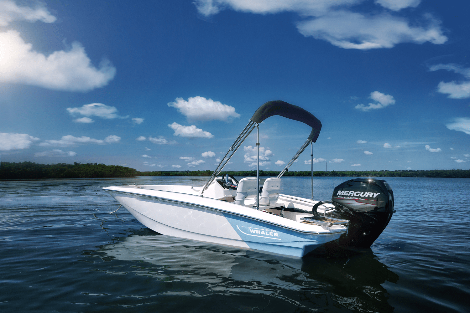 Slide: The Image of Boston Whaler 130 Super Sport 2025 - 46