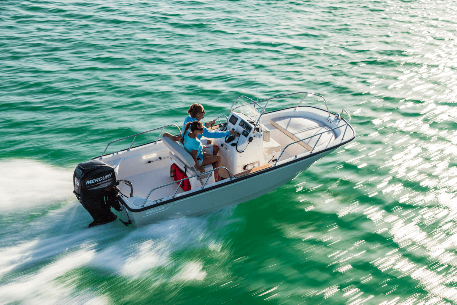 Slide: The Image of Boston Whaler 150 Montauk 2024 - 11