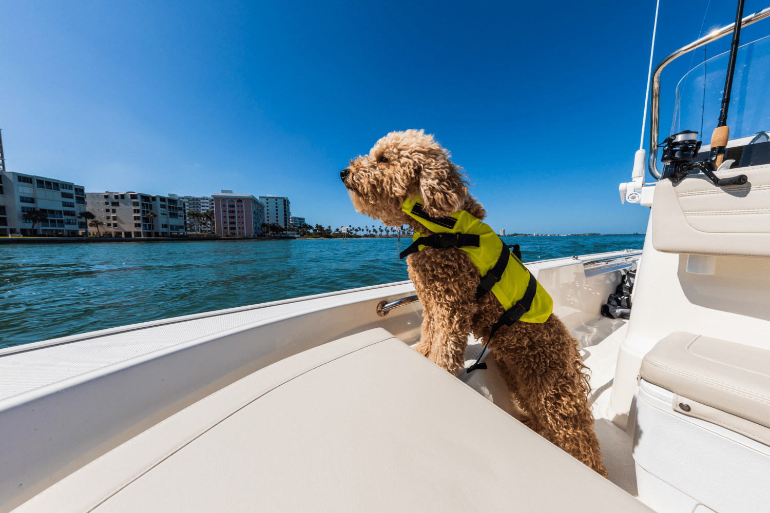 Slide: The Image of Boston Whaler 150 Montauk 2024 - 15