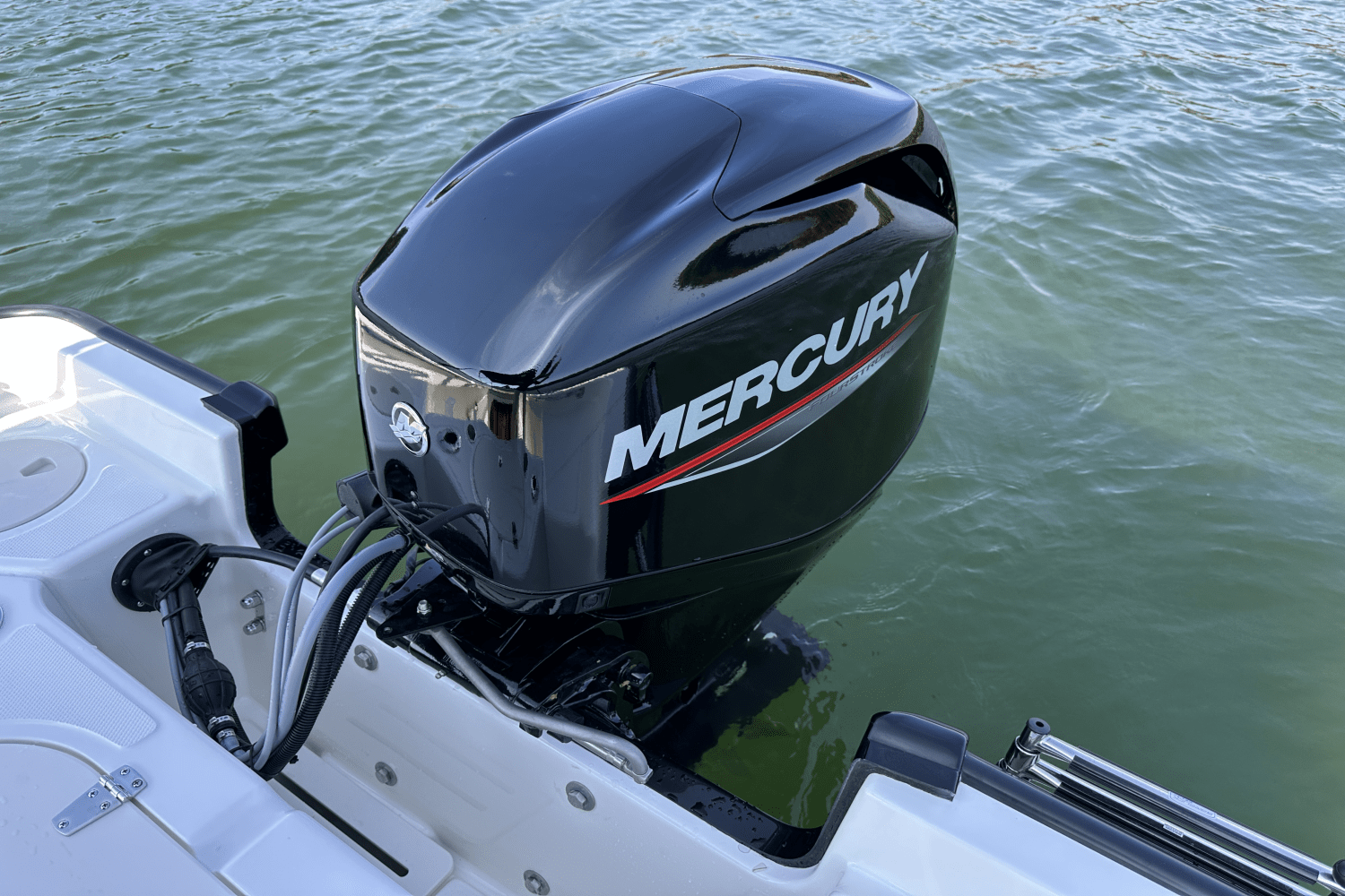 Slide: The Image of Boston Whaler 150 Montauk 2025 - 17