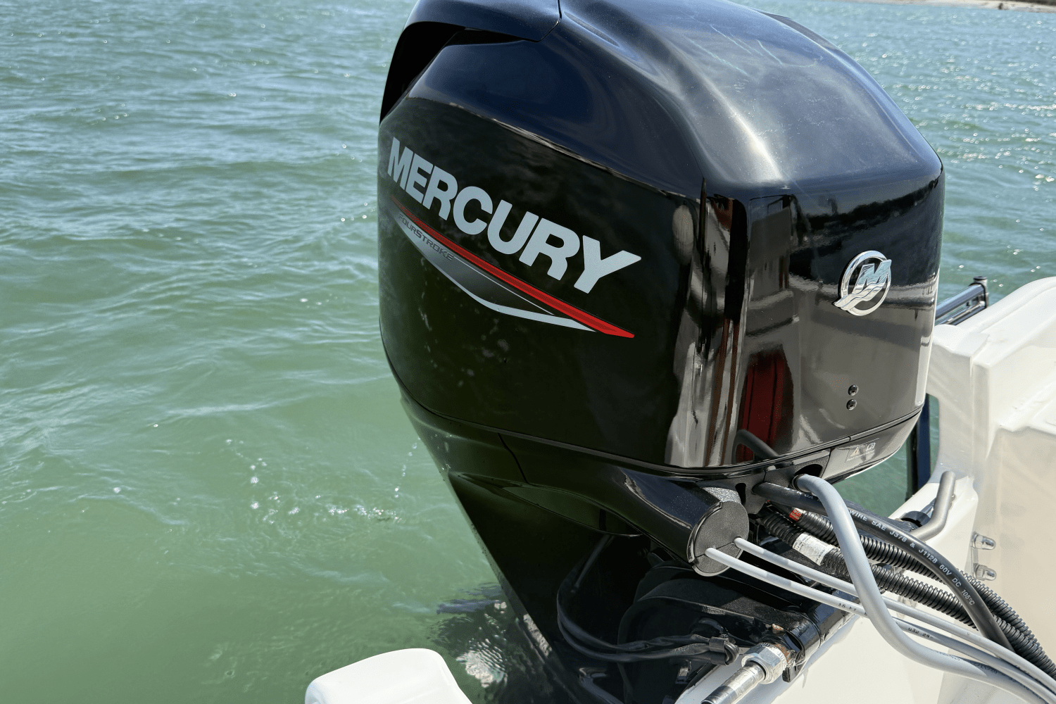 Slide: The Image of Boston Whaler 150 Montauk 2025 - 5