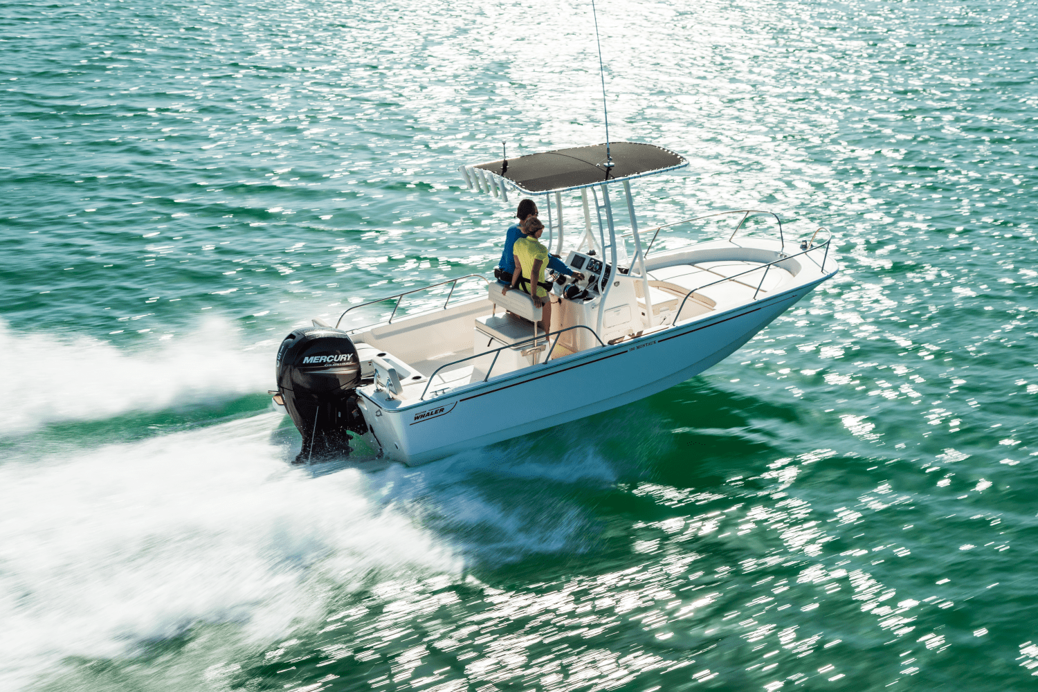 Slide: The Image of Boston Whaler 190 Montauk 2026 - 15