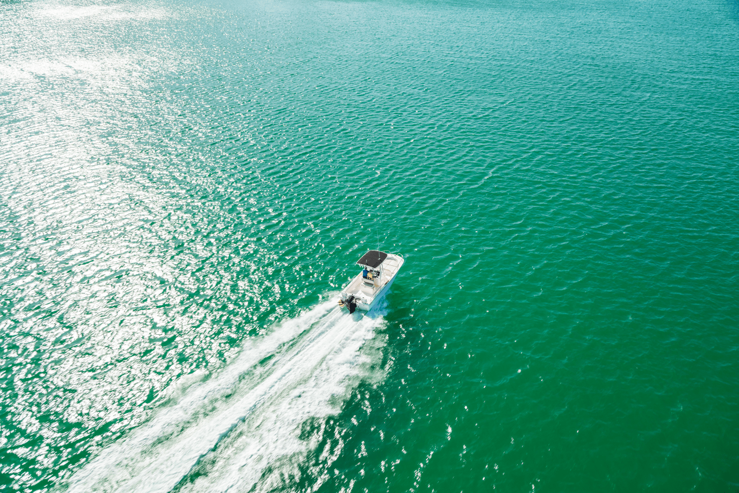 Slide: The Image of Boston Whaler 190 Montauk 2026 - 9