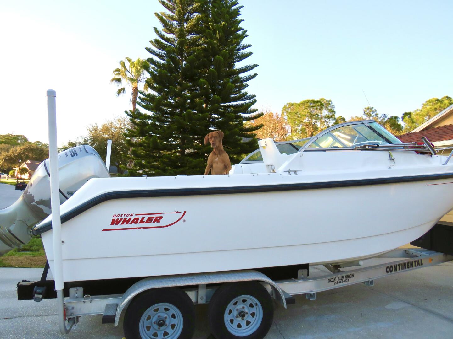Slide: The Image of Boston Whaler 21 2002 - 3995571