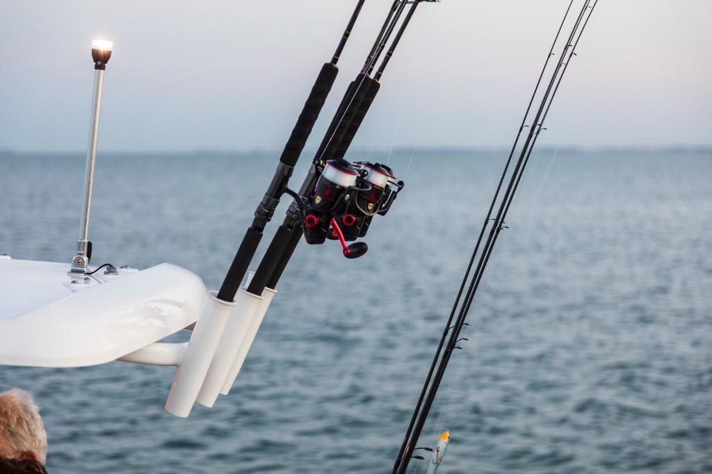 Slide: The Image of Boston Whaler 210 Montauk 2025 - 17