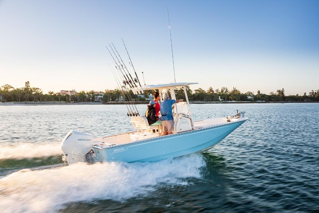 Slide: The Image of Boston Whaler 210 Montauk 2025 - 2