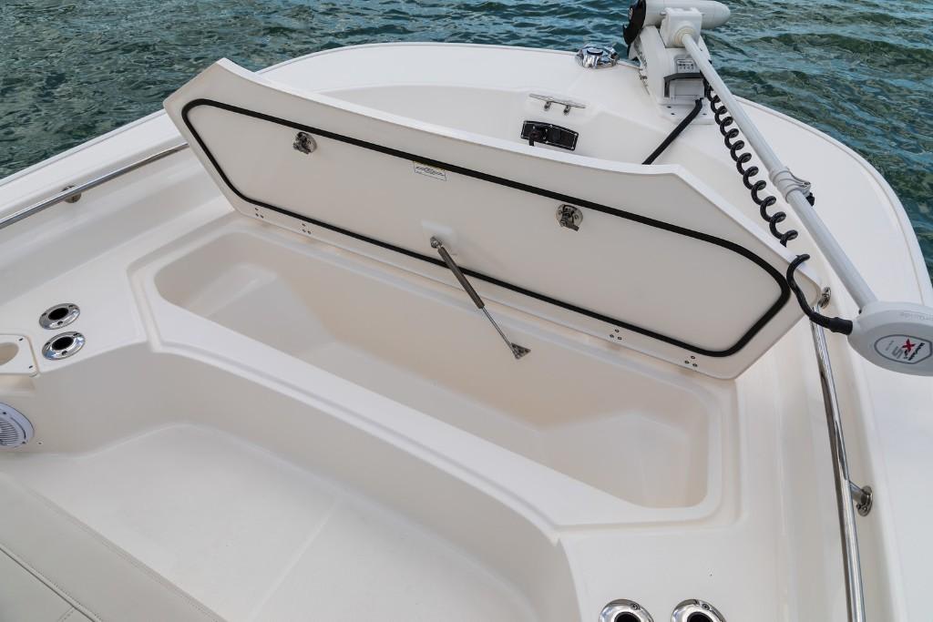 Slide: The Image of Boston Whaler 210 Montauk 2025 - 39