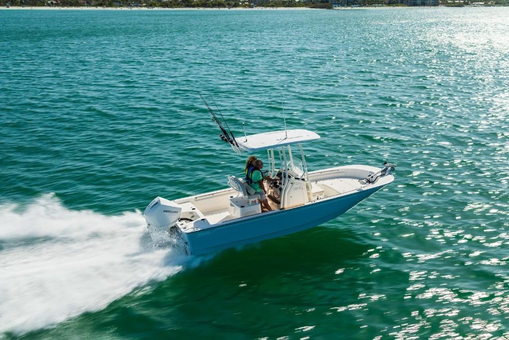 Slide: The Image of Boston Whaler 210 Montauk 2025 - 5