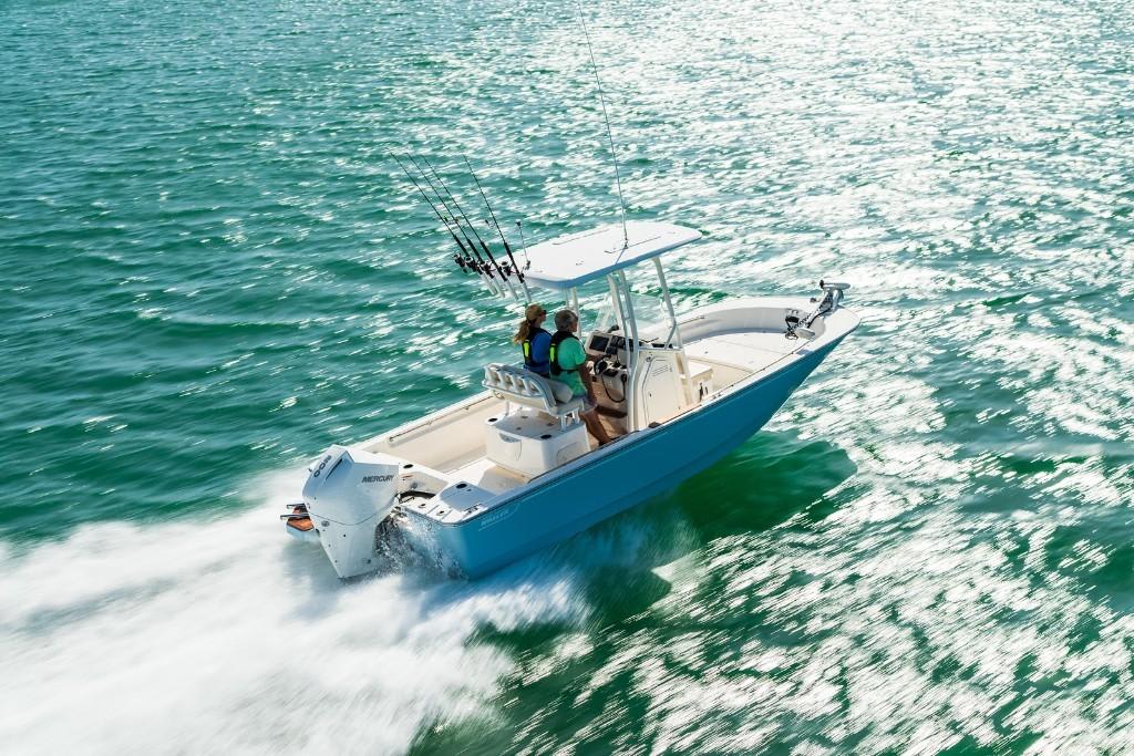 Slide: The Image of Boston Whaler 210 Montauk 2025 - 6