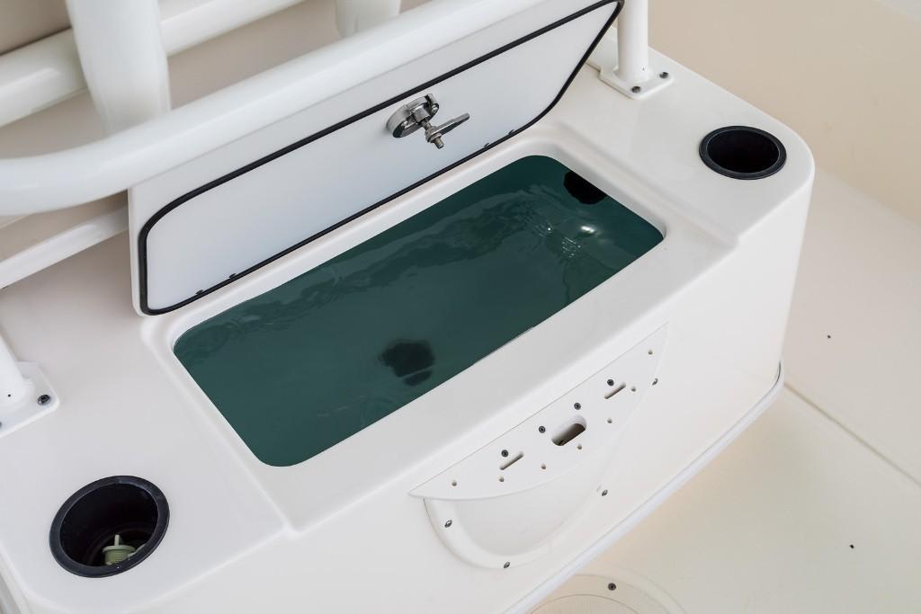 Slide: The Image of Boston Whaler 210 Montauk 2026 - 43