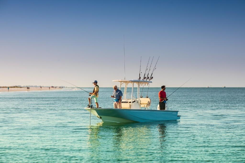 Slide: The Image of Boston Whaler 210 Montauk 2026 - 7