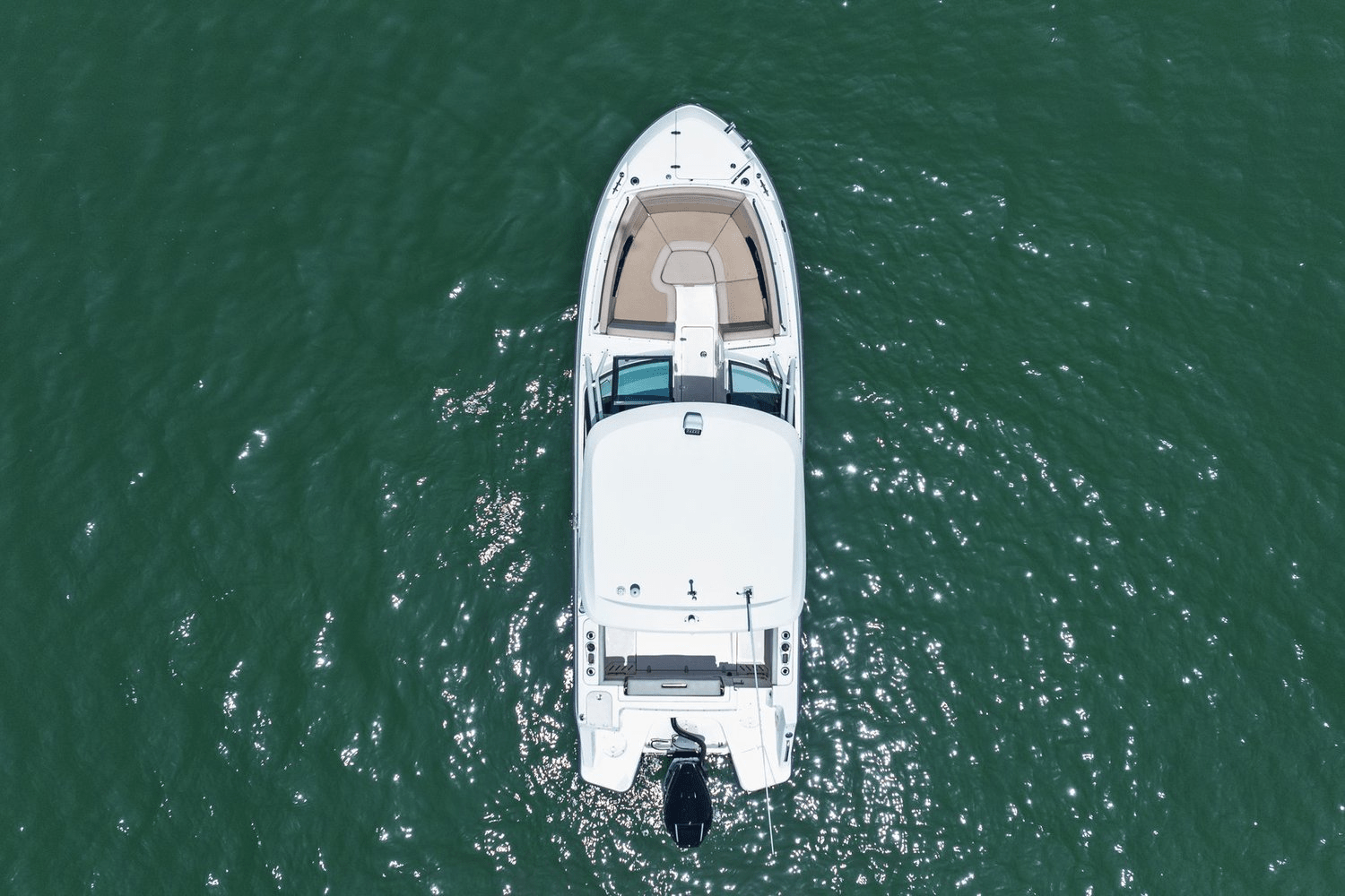 Slide: The Image of Boston Whaler 240 VANTAGE 2022 - 10
