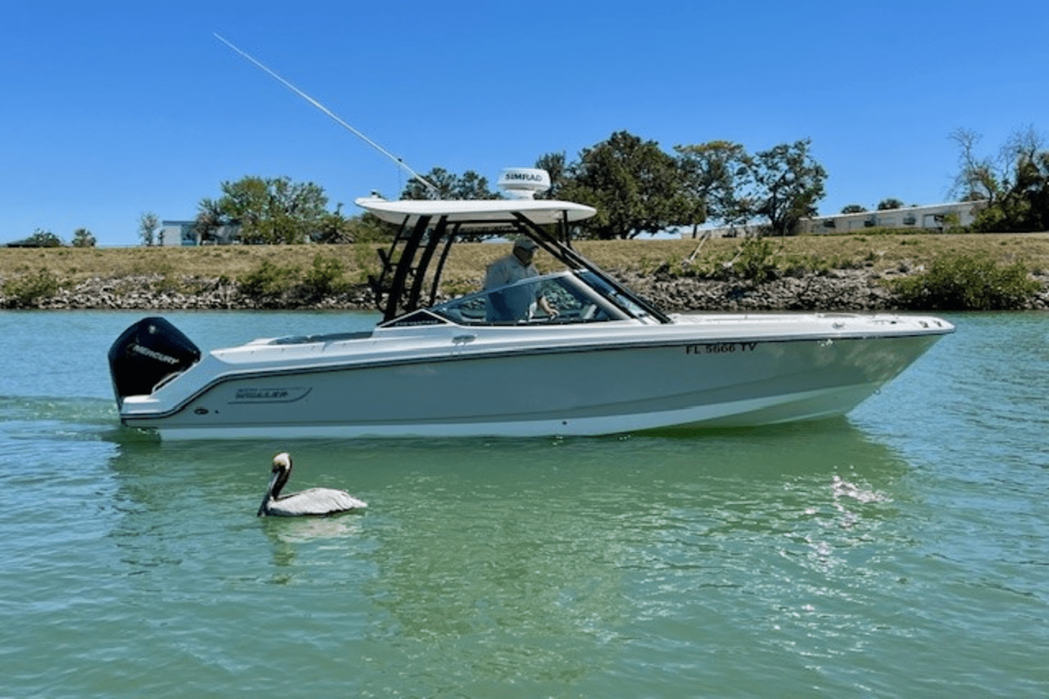 Slide: The Image of Boston Whaler 240 VANTAGE 2023 - 6
