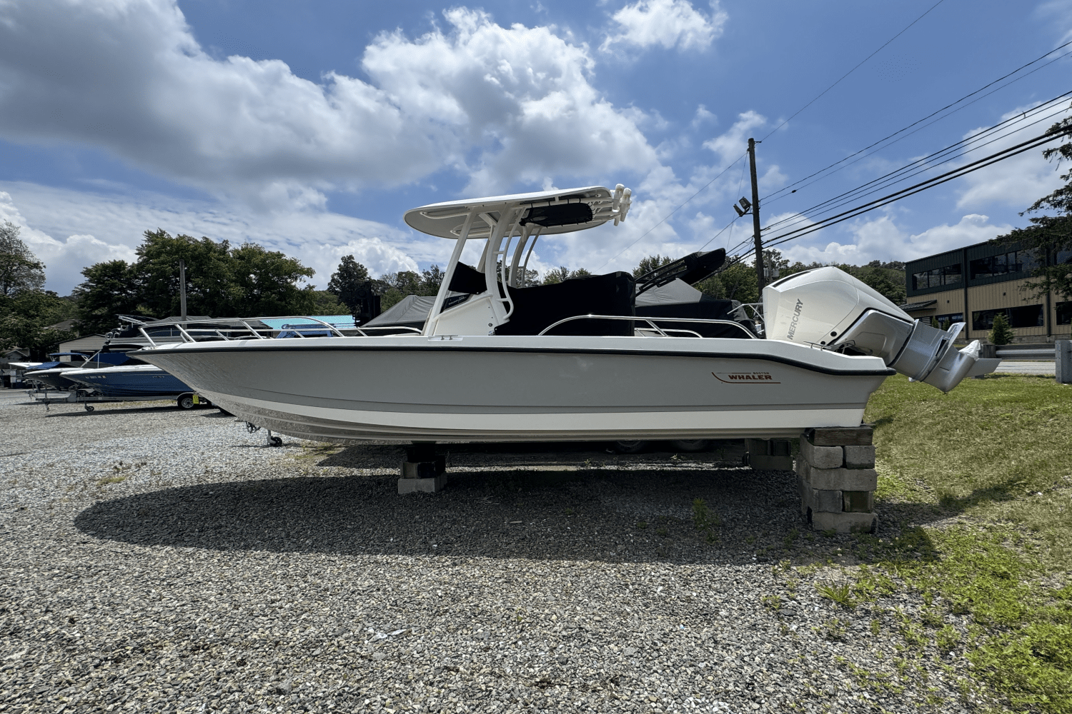 Slide: The Image of Boston Whaler 250 Dauntless 2025 - 0