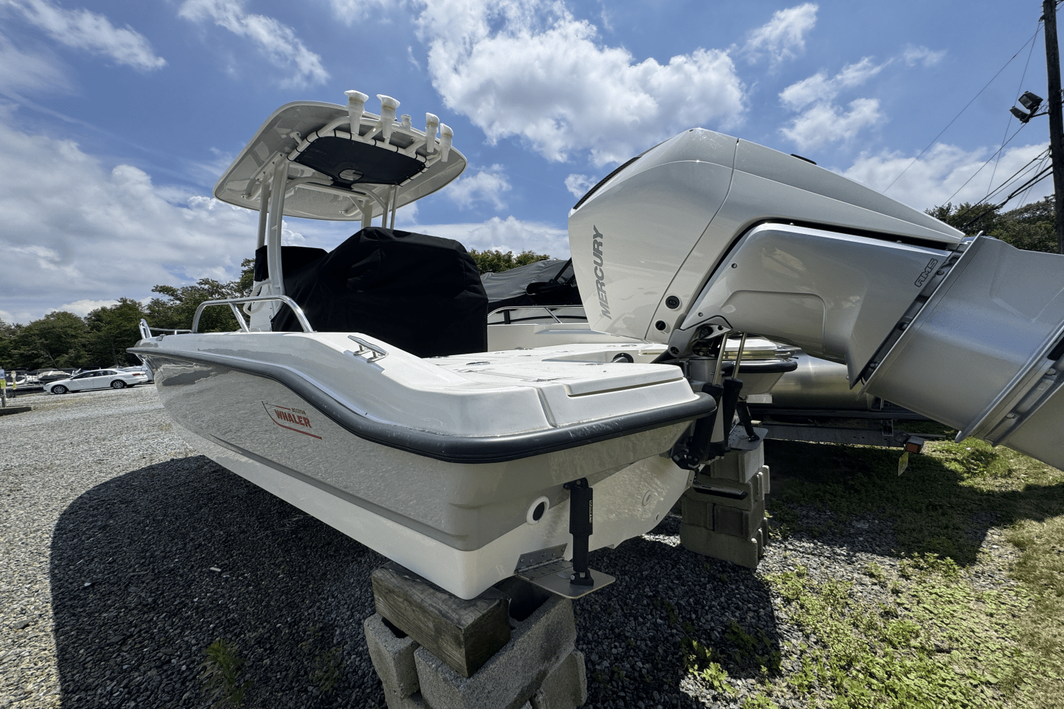 Slide: The Image of Boston Whaler 250 Dauntless 2025 - 10