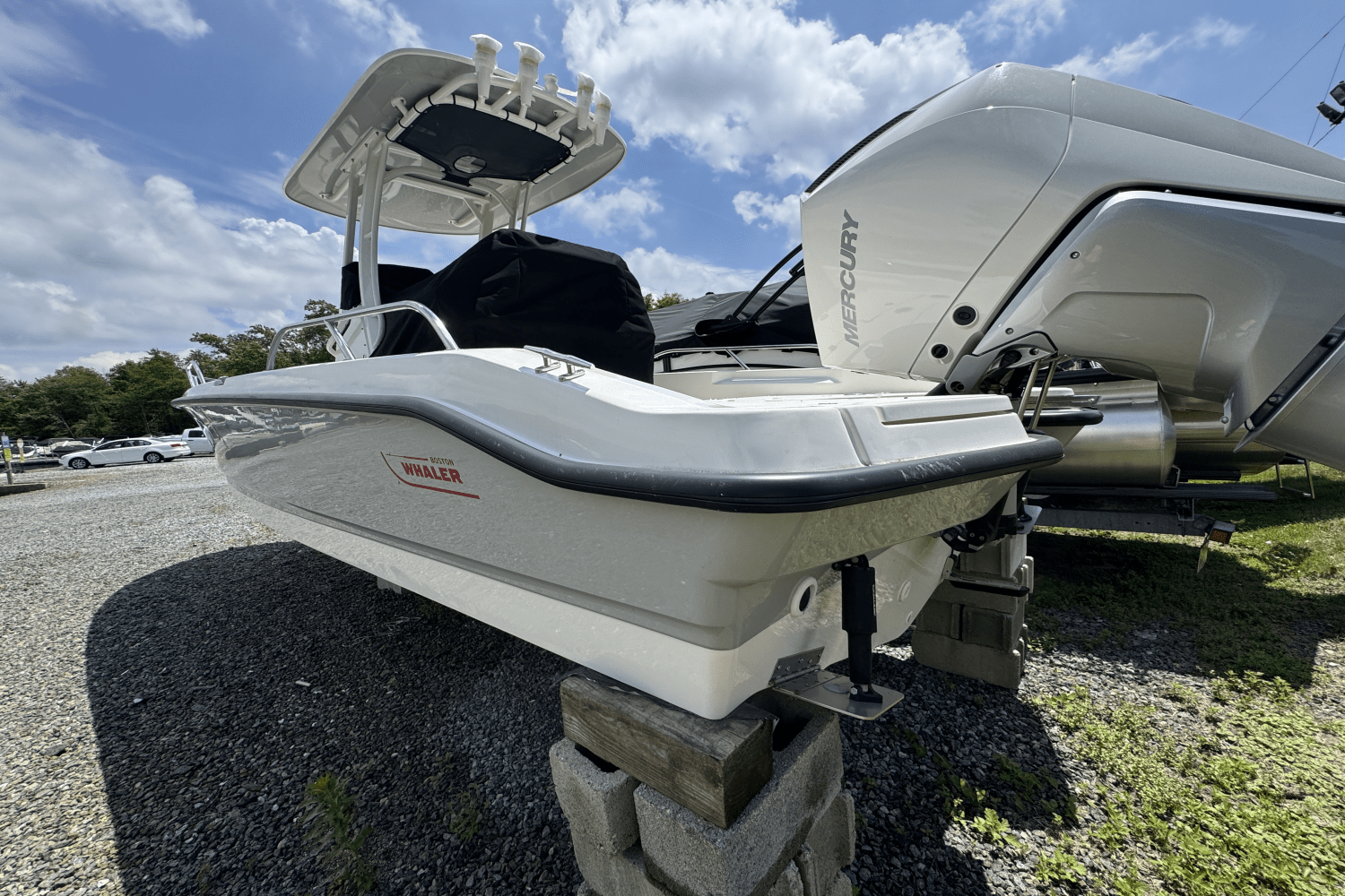 Slide: The Image of Boston Whaler 250 Dauntless 2025 - 11