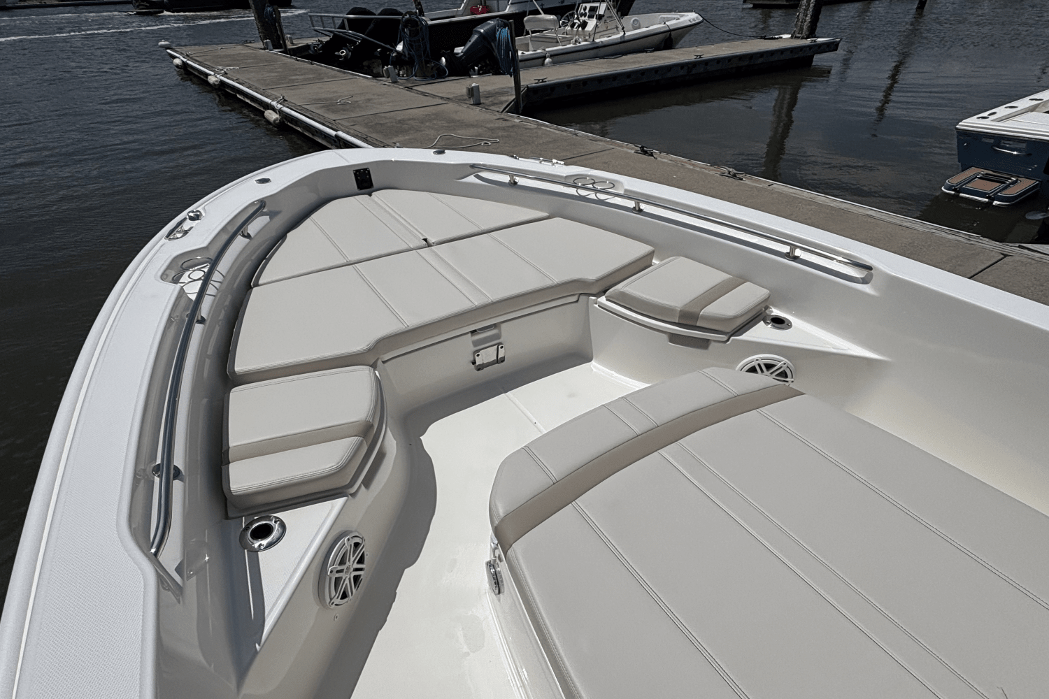 Slide: The Image of Boston Whaler 250 Dauntless 2025 - 11